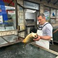 Oslić jeftiniji nego za Vaskrsšnji post, pastrmka 800 a šaran 750 dinara: Bogata ponuda posne hrane na srpskim pijacama…