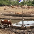 Obezbeđene dovoljne količine vode za životinje na Suvoj planini