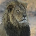 Zoo vrt u Danskoj traži da im se doniraju "neželjeni kućni ljubimci", kako bi nahranili svoje predatore