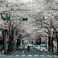 Tramp potpisao niz sporazuma sa Japanom