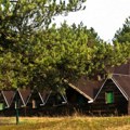 Nešto čudno se dešava u Deliblatskoj peščari: Vikendice masovno završile u oglasima, proverili smo cene