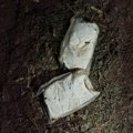 Prevozio drogu na Zlatibor: U automobilu mladića iz Užica pronađeno više od kilogram amfetamina