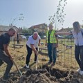 Leskovačka vlast obeležila desetogodišnjicu čišćenja divljih deponija, aktivisti upozoravaju da je očišćeno čak šest…