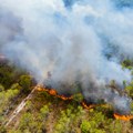 Nekoliko požara aktivno na Dinari: Zatražena i pomoć hrvatskih kanadera