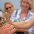 Kako saradnja kompanija sa zaštićenim područjima može postati deo održivog finansiranja prirode u Srbiji?