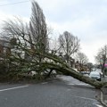 Najgora oluja u ovoj deceniji: Irska totalno bez struje, drveća blokirala put; "Milionska šteta" FOTO