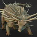 Bodljikavi dinosaurus – najstariji fosil ankilosaurusa pronađen u Maroku