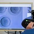 Prvi korak ka novom načinu lečenja neplodnosti: Naučnici napravili funkcionalne jajne ćelije od ćelija kože