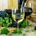 Počela Javna rasprava o Nacrtu zakona o vinu i drugim proizvodima od grožđa i vina