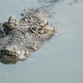Kako su krokodili preplivali Indijski okean do Sejšela - DNK rešila misteriju staru 250 godina