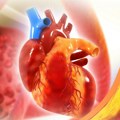 Tihi znaci začepljenih arterija na neočekivanim delovima tela: Dva se vide u krevetu