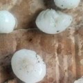 (Foto) Grad veličine oraha uništio sve! Strašne posledice nevremena kod Arilja: Dvorišta se zabelela kao usred januara