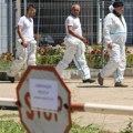Pao prvi čovek zbog afričke kuge u Srbiji! Ministar se oglasio: Bolest napravila pomor, "leteće" glave i pljuštaće kazne