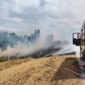VIDEO: Ponovo gori nisko rastinje u Petrovaradinu - drugi put u manje od 24 sata