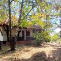 (Foto) ušuškano imanje i mala, prizemna kuća okružena drvećem: Zavirite na seosko imanje Milice Milše i Žarka Jokanovića…
