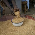 Stigla humanitarna pomoć Centralnoafričkoj Republici: Rusija isporučila 50.000 tona pšenice