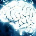 Naučnici otkrili ključne delove mozga u kojima bi mogao biti „izvor" psihoze