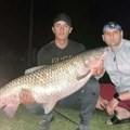 Raport s vode Amur od 19 kila ulovljen kod Bezdana, majstor ga namamio na kukuruz
