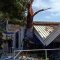 Drvo od 8 tona palo na lokal! Haos na šetalištu u Baru: Krov objekta gotovo sravnjen sa zemljom, šteta ogromna