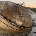 (VIDEO) Misteriozni objekat isplivao na plažu u Australiji, niko ne zna o čemu se radi