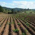 Obukom do sertifikata: Novi propisi za kupovinu pesticida u Poljoprivrednim apotekama