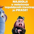 Hit porodična avantura hitpig u bioskopima od 13. Marta