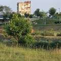 Novinar koji ŽELI da piše ISTINU na licu mesta: Progledao Pirot na vodi, krči se krči, obala Nišave među vrbama
