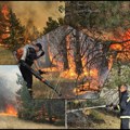 Još jedan požar na brdu za Prisjan! Borova šuma! Da li je, ponovo, gorela nečija savest, ekološka svest?! Krivci su ONI i…
