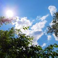 Ujutro oblačno, posle podne sunčano, najviša temperatura oko 30 stepeni