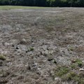 (Video) Vatra stigla do okolnih parcela Gorelo preko 30 ari niskog rastinja! Veliki požar kod Čačka: Gust dim se odjednom…