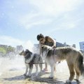 Narandžasti meteoalarm za Englesku i Vels: Ostvro će pogoditi vrućine koje nisu zabeležene 50 godina