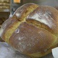 Povećana cena hleba zbog rasta cena sirovina