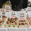 Na pijaci u zapadnom Japanu osam pečuraka macutake prodato za skoro 5.000 evra