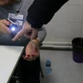 Firma koja je dovozila fantomske birače iz Bosne i koja očitava brojila zaradila skoro milijardu dinara