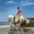 Kobila ubila veterinara tokom intervencije! Jezivi detalji tragedije u štali, ovako je životinja brutalno usmrtila nesrećnog…