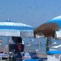 Hiljade pčela okupirale plažu na Jadranu, scena zaprepastila kupače: Dramatična situacija, vlasti ogradile celo područje - sve…