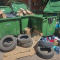 Džabe nove kante i uređeno kontejnersko mesto – kad sami sebe zatrpavamo smećem Kontejneri u Zrenjaninu