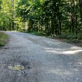 Pet kilometara novog asfalta na putu Bratljevo – Kovilje (VIDEO)