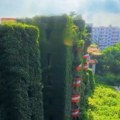 VIDEO: Priroda progutala ogroman stambeni kompleks u Kini