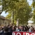 Pristalice i simpatizeri iz Bačke Palanke idu peške na miting SNS u Novom Sadu (video)