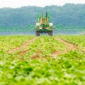 Agrohemijski giganti nisu dali podatke o uticaju pesticida na mozak: EU sprema sankcije Bajeru i Singenti?
