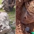Пронашли закопано благо, а онда уследио нови шок На врху ћупа налазило се опасно створење! (видео)