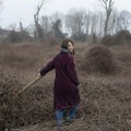 Pančevo film festival od 24. do 28. septembra: Biće prikazano 40 filmova