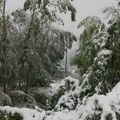 Teška situacija u Arilju nakon snežnih padavina