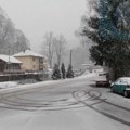 Struja stigla u Crnu Travu