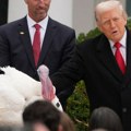 Трамп помиловао ћурке уочи Дана захвалности: У шали их назвао Ненси Пелоси и Чак Шумер