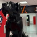 Zašto se baš "doga" nalazi na grbu Zvezdinog rivala u Evropi? Neverovatna priča, sve počelo od jednog novinara