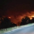 Драматичне сцене у Улцињу! Ватрена стихија гута имања: У пожару изгорело 300 стабала лимуна, ватра се приближила кућама и…