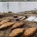 U Dunavu pronađeno "rđavo blago"! Arheolozi smatrali tonu gvožđa nebitnom, a onda otkrili čemu je služila pre 2.200 godina…