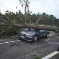 Drvo palo na raznosača hleba i ubilo ga! Strašno nevreme u Portugalu, rastureni automobili u paramparčad - Španija spremna za…